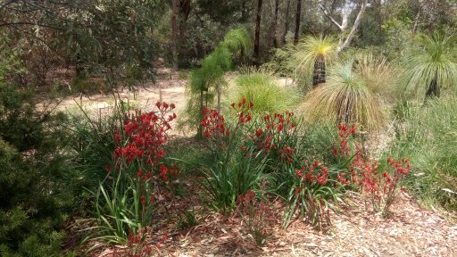 This image has an empty alt attribute; its file name is 1545875096826grass-trees-2.jpg